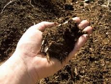 organic natural brown mulch